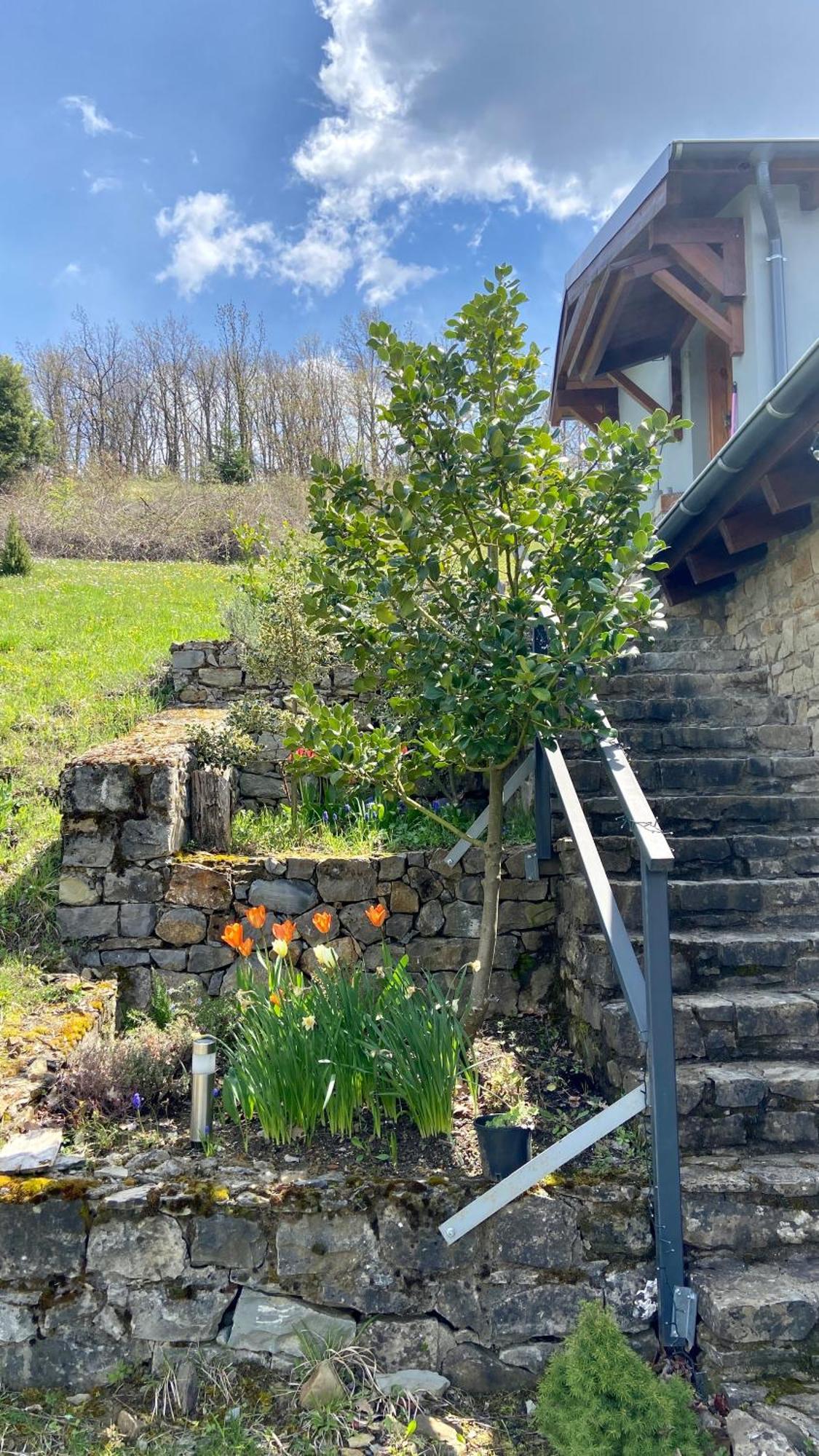 Little Garden Cabin Περιβολάκι Εξωτερικό φωτογραφία